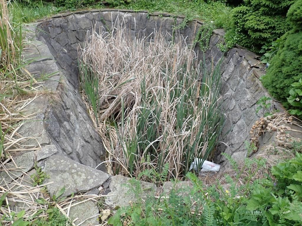 Drazba_RD_Kutna_Hora_11 (6)