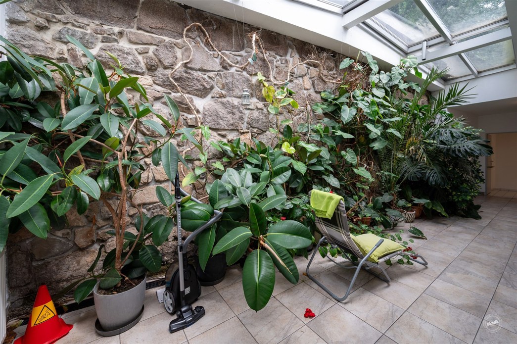 Drazba_Velke_Popovice_31