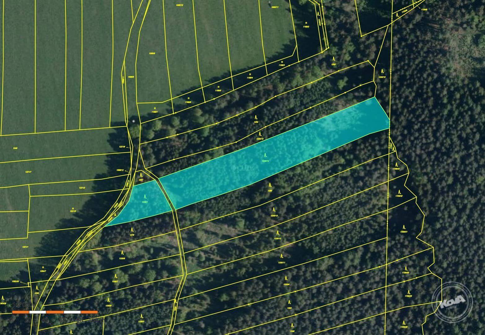 Dražba lesních pozemků cca 22 000 m2, kú. Strážkovice Dražba lesních pozemků cca 22 000 m2, kú. Strážkovice