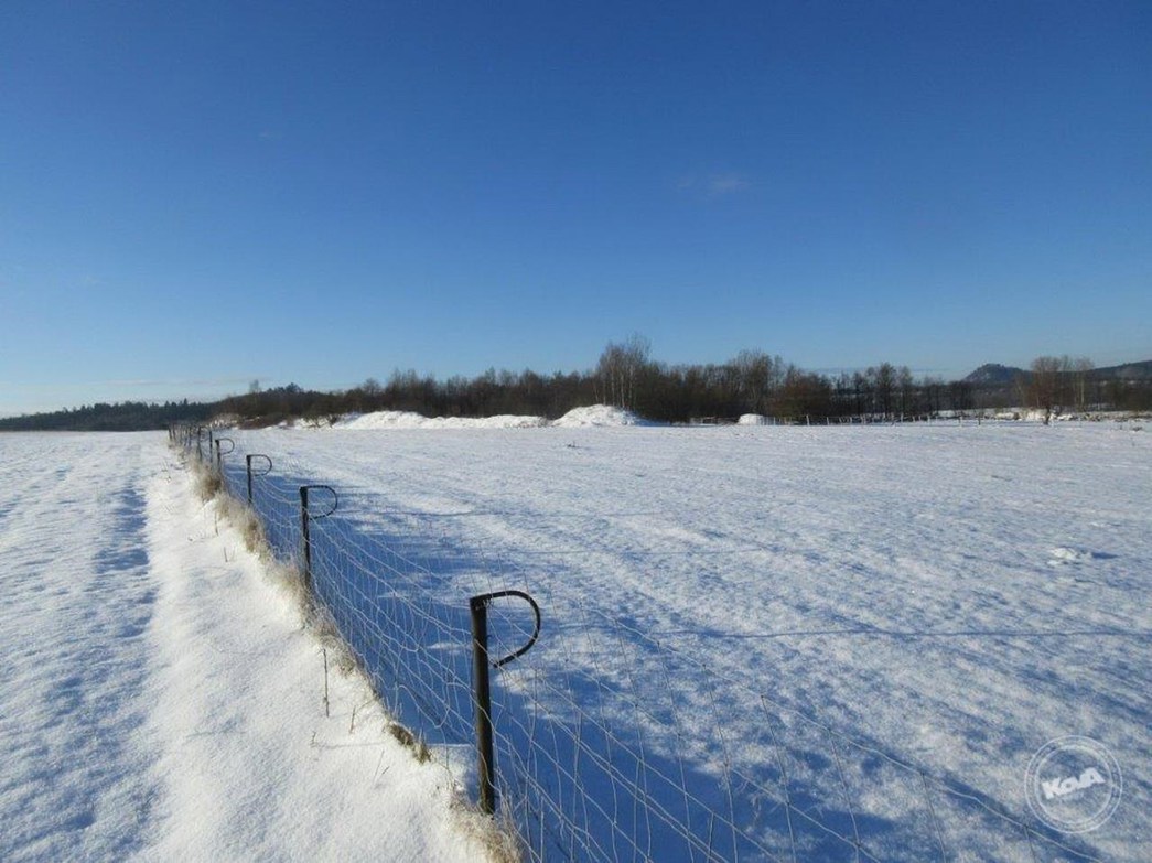 Drazba_pozemku_Krizany_2