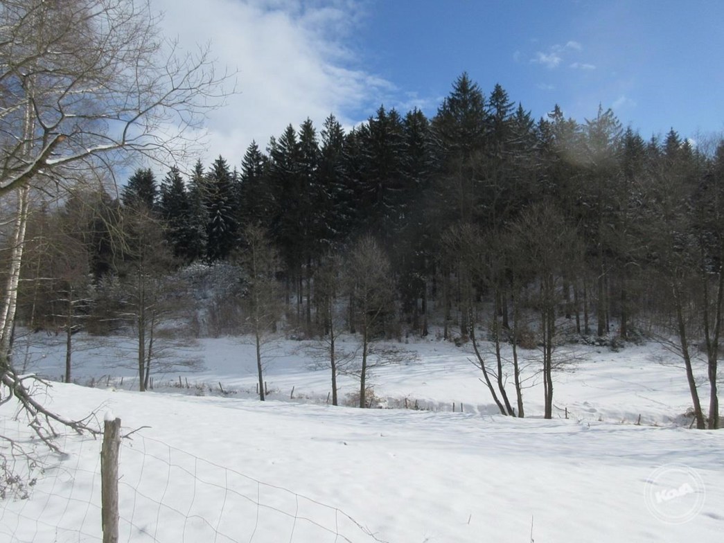 Aukce_pozemku_Krasna_Studanka_1