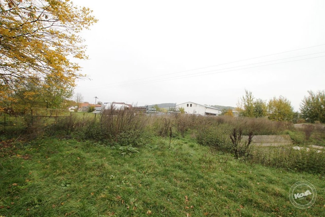 Aukce_vepřína_v_Božejovicích_7