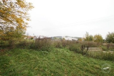 Aukce_vepřína_v_Božejovicích_7