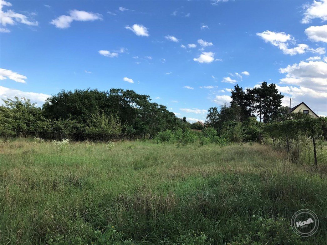 Prodej_stavebního_pozemku_se_zahradou,_3454_m2,_Mělník_05
