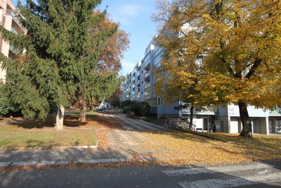 prodej-bytu-2+1-praha-6-brevnov-11 (12)