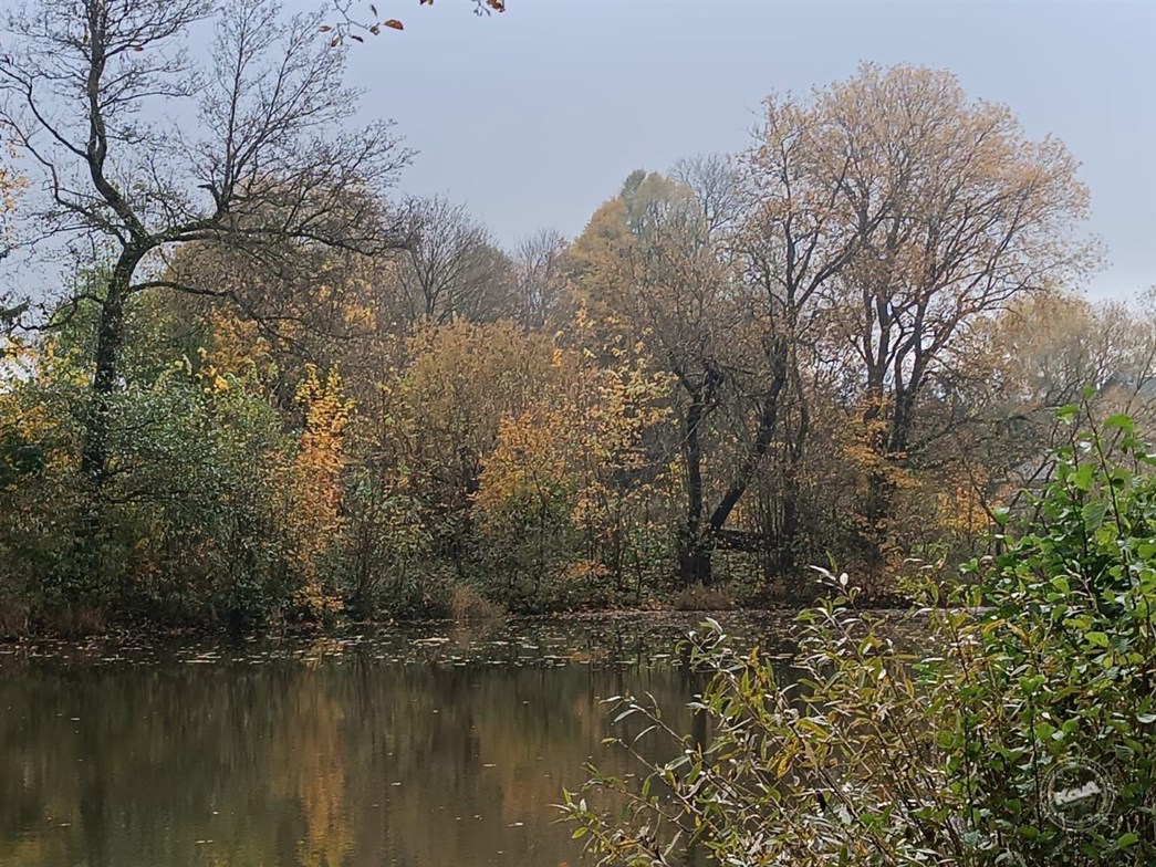 Aukce_pozemek_Rankovice_6 (1)