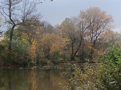 Aukce_pozemek_Rankovice_6 (1)