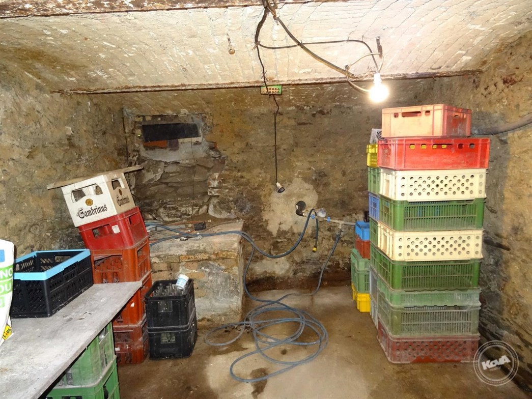 dražba-domu--nová-ves-u-křimova-20_optimized