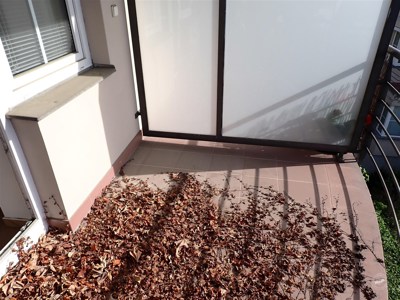 Drazba_byt_Bolevec_15 (3)