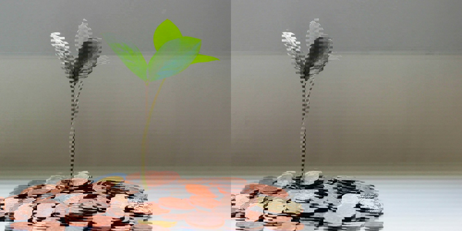 Obrázek Model.Name