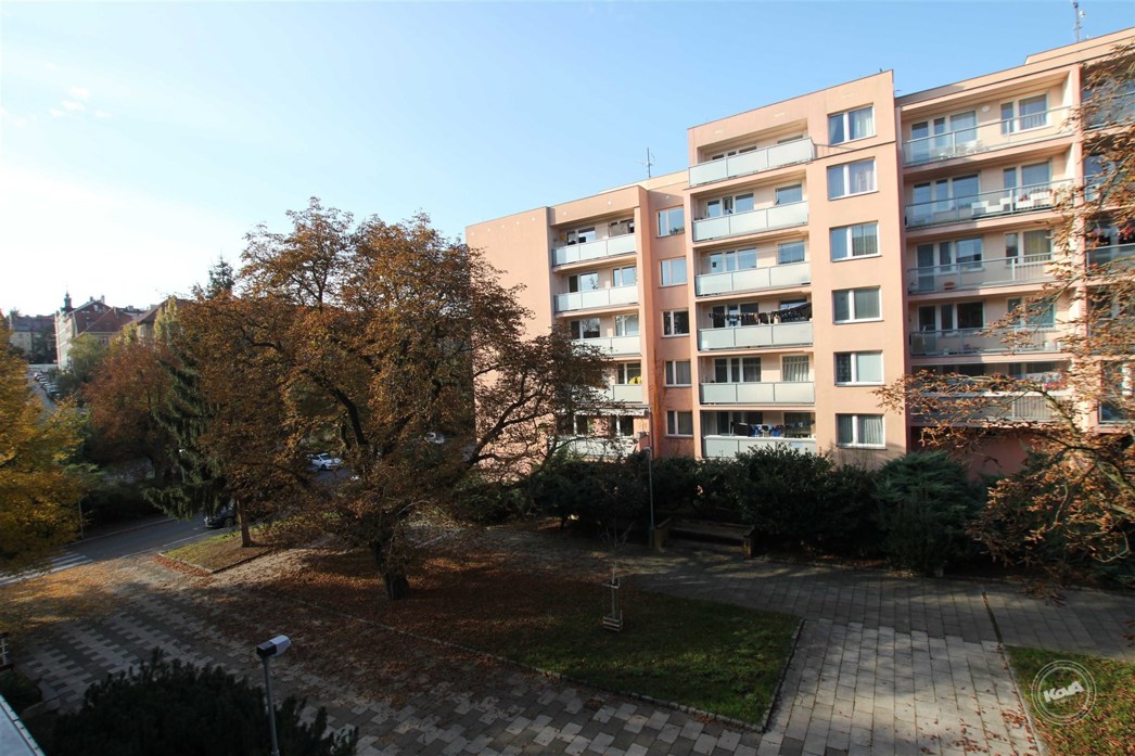 prodej-bytu-2+1-praha-6-brevnov-10 (12)