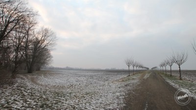 Aukce_pozemků_v_Miškovicích,_Praha_2