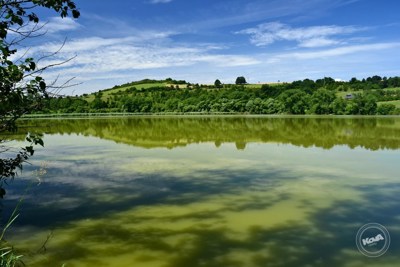 Prodej_domu_4+kk_na_klidném_místě_s_rozsáhlým_pozemkem_3768_m2,_Malhostice_10