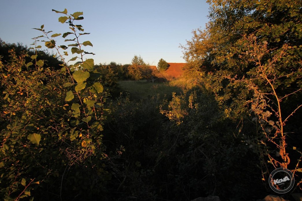 Prodej_statku_Robčice_4