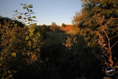 Prodej_statku_Robčice_4