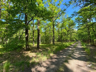 Dražba_pozemku_Kersko_2