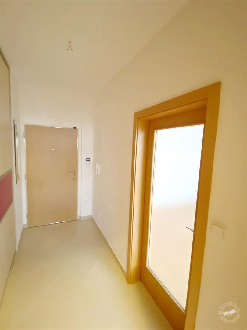 Pronajem_bytu_1+kk_5