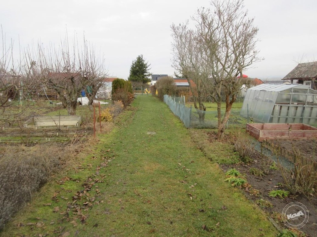 Drazba_podilu_na_bytu_a_chate_34