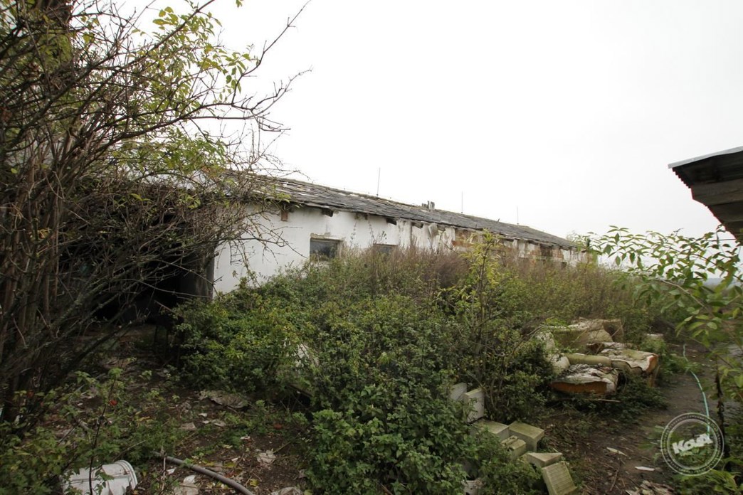 Aukce_vepřína_v_Božejovicích_5