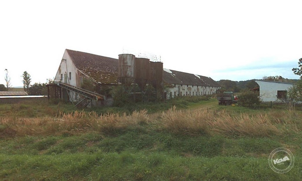 Aukce_kravina_1