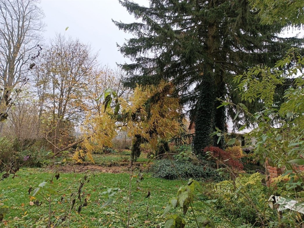 Aukce_pozemek_Rankovice_2 (1)