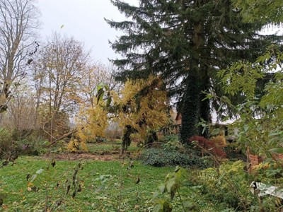 Aukce_pozemek_Rankovice_2 (1)