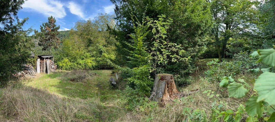 prodej_rodinný_dům_Měchenice_29 (21)