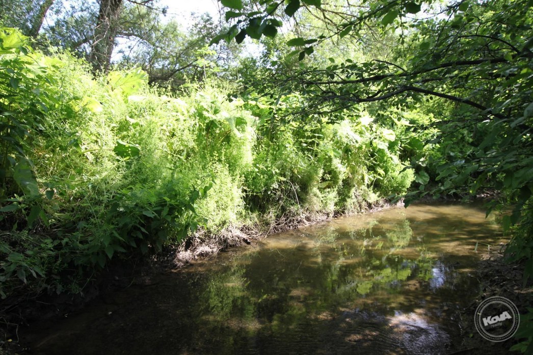 Prodej_chaty_Ořech,_Praha_11