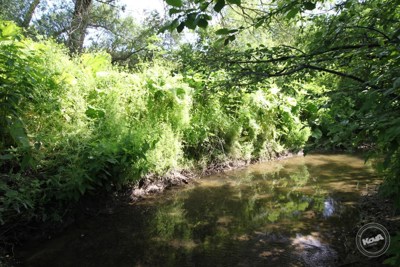 Prodej_chaty_Ořech,_Praha_11