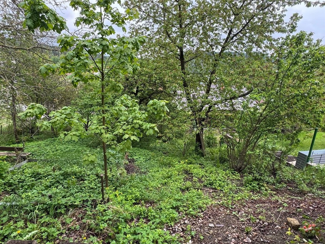 Prodej_domu_Hodkovice_nad_Mohelkou_3