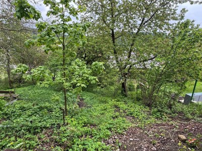 Prodej_domu_Hodkovice_nad_Mohelkou_3