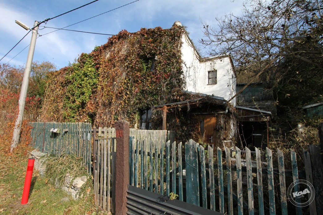 Prodej_domu_4+kk_na_klidném_místě_s_rozsáhlým_pozemkem_3768_m2,_Malhostice_02