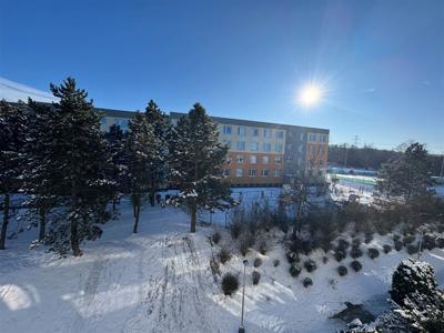 IMG_5358