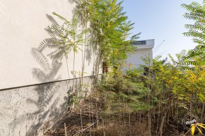 Dražba_obchodu_Praha_5,_Smíchov_-_12