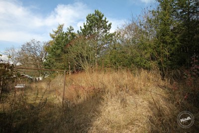 Prodej_domu_4+kk_na_klidném_místě_s_rozsáhlým_pozemkem_3768_m2,_Malhostice_05