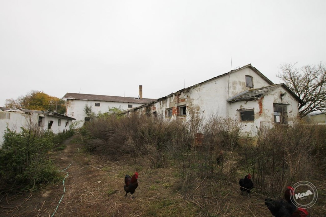 Aukce_vepřína_v_Božejovicích_4