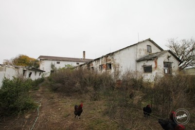 Aukce_vepřína_v_Božejovicích_4