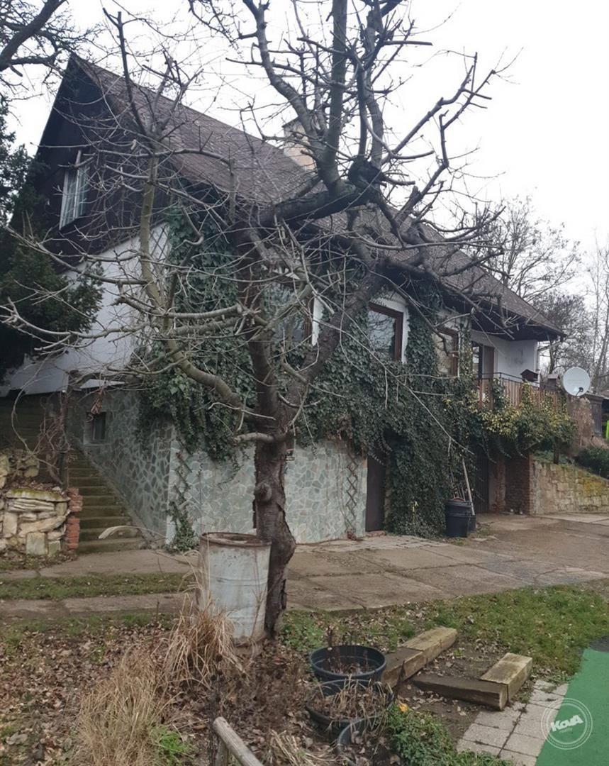 Drazba_ploviny_RD_Zatec_2