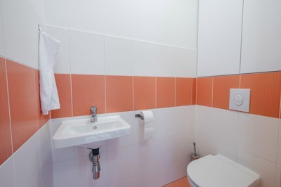 Farkasova_B403_17 (1)