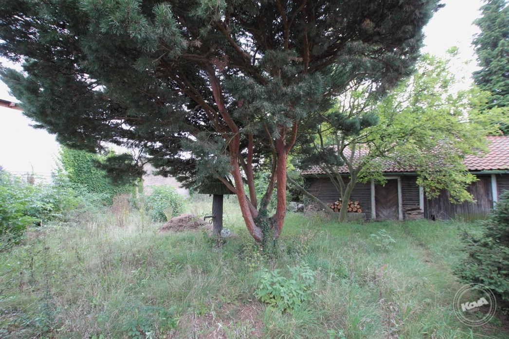 Pronájem_domu_Ptice_-_11