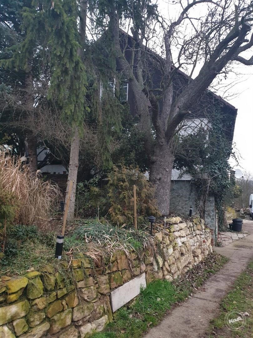 Drazba_ploviny_RD_Zatec_4