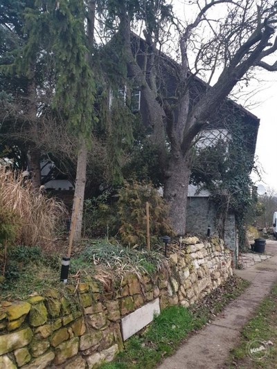 Drazba_ploviny_RD_Zatec_4