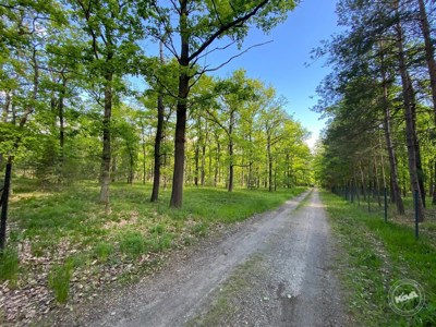 Dražba_pozemku_Kersko_4