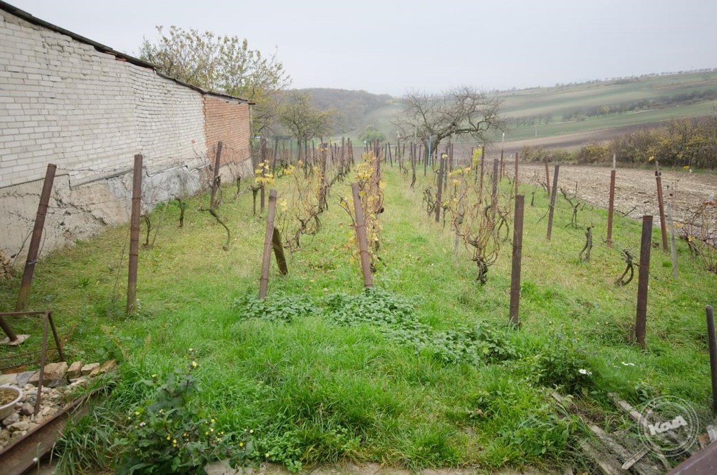 Dražba_Domu_Vrbice_-_5