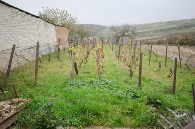 Dražba_Domu_Vrbice_-_5