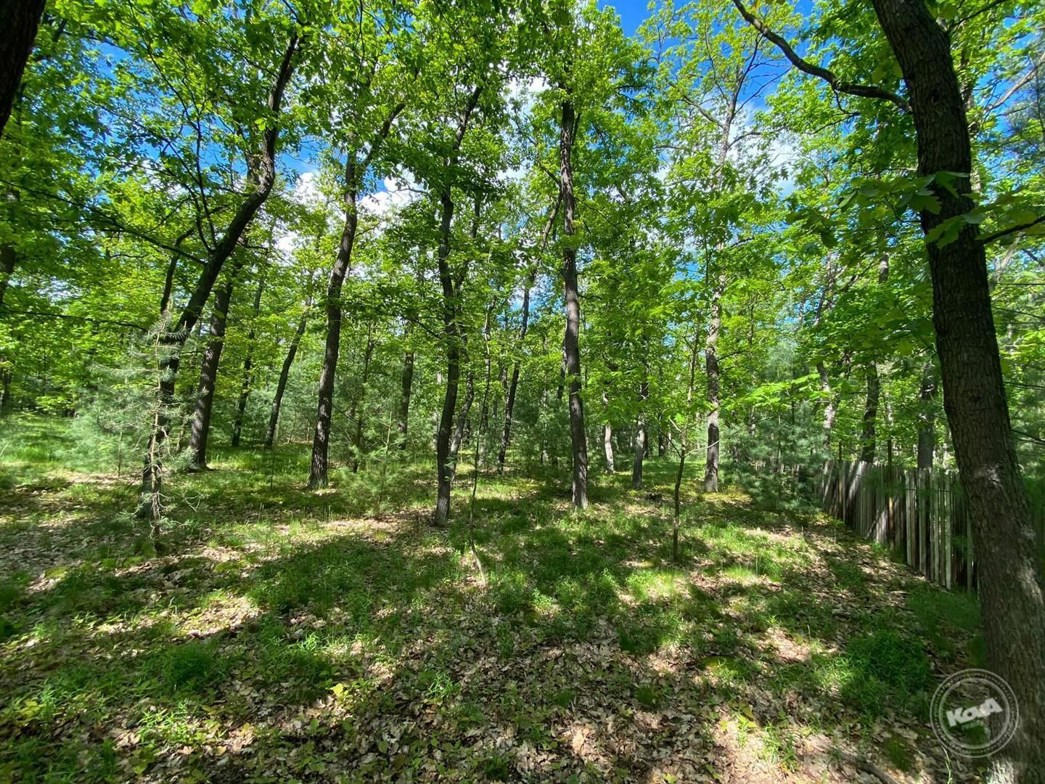 Dražba_pozemku_Kersko_1