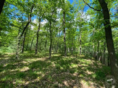 Dražba_pozemku_Kersko_1