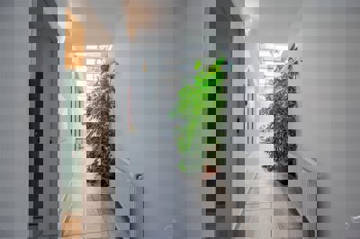 Drazba_Velke_Popovice_21