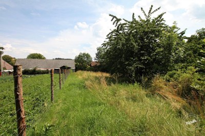 Prodej_venkovského_stavení_4+1,_173_m2,_s_rozsáhlým_pozemkem_10