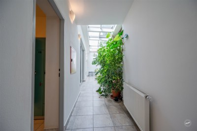 Drazba_Velke_Popovice_21